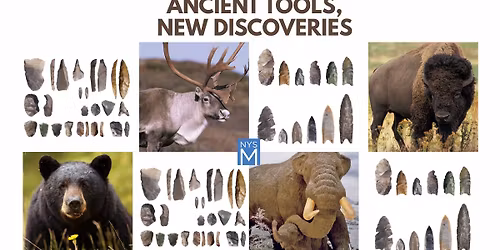 Ancient Tools, New Discoveries: Results of Protein Residue Analysis on Ice Age Stone Tools in the Ne