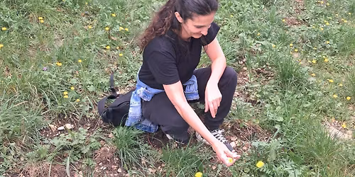 Balade d\u00e9couverte des plantes sauvages - La Penne sur Huveaune