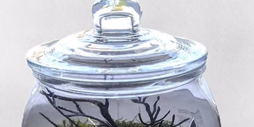 Spooky Terrarium Workshop at The Park Coffee & Bread Co.