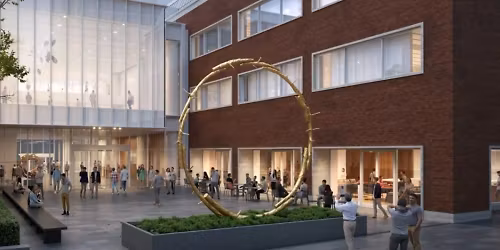 Afternoon at the museum