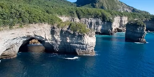 T\u016bhua (Mayor Island) Sea Safari