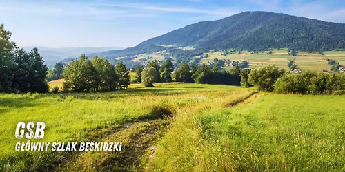 G\u0142\u00f3wny Szlak Beskidzki (etap 5\/12) - trekking g\u00f3rski