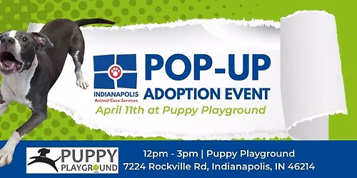 Pop-Up Adoption Event \u2013 Puppy Playground