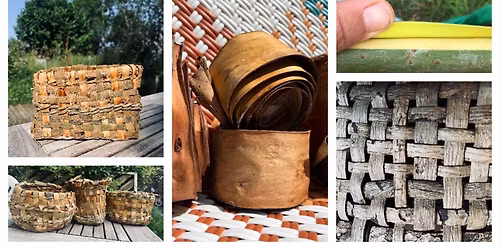 Initiation \u00e0 la vannerie : tressage d'\u00e9corces