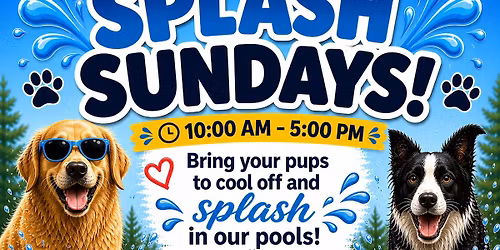 Splash Sundays Are Back!