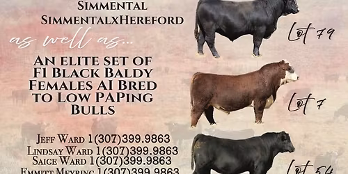 Ward Livestock's Red, White & Blue Bull Sale