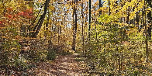 Kick-Off the Hiking Season:  Movin' With the Mueller's