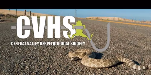 RATTLESNAKES!: Biology, Safety, Regulations and Issues w\/ Jake Molieri