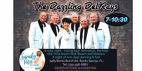 The Dazzling DelRays at Sneaky Pete's 11\/14