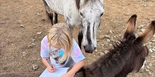Horse Powered Reading Camp