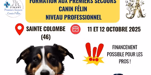 Formation aux premiers secours canin et félin 