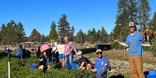 Community Volunteer Days at Seed to Table Farm