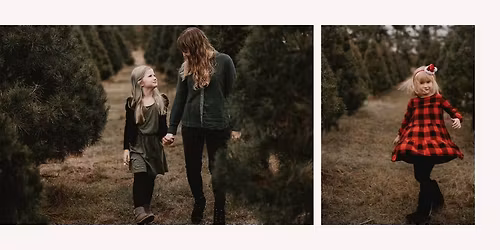 Christmas Tree Farm Mini Sessions