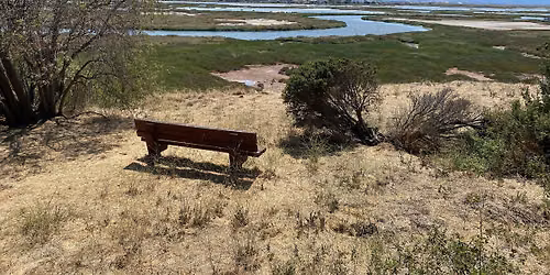 Junior Rangers at the Refuge: Plastic Free July