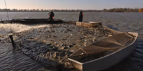 V\u00ddLOV RYBN\u00cdKA BEZRU\u010c 2025