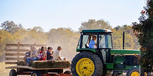 Stratford Ecological Center Harvest Fair!