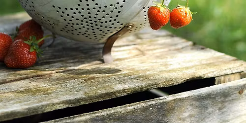 Celebrate Abundance, Play, and Delight on the Full Strawberry Moon