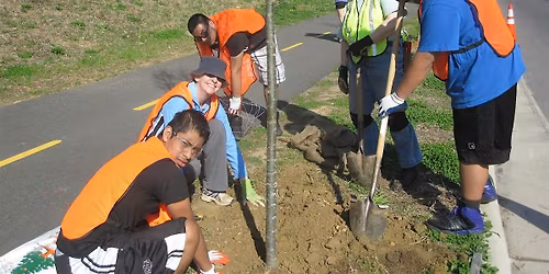 Tree Planting Old Mill Park & Heritage Trail