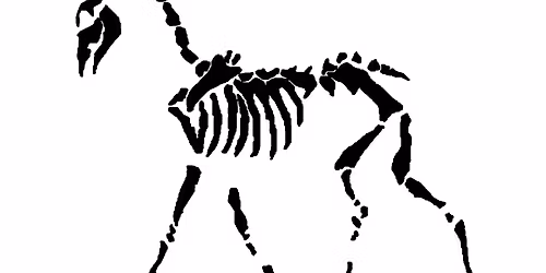 Bare Bones Endurance Ride - Northwest Region - AERC sanctioned ride