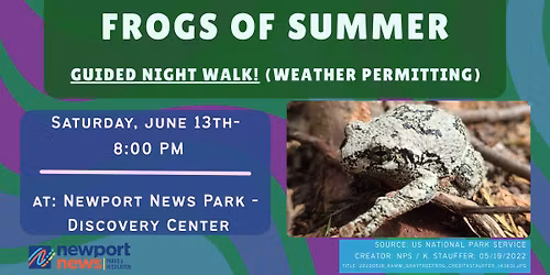 Frogs of Summer
