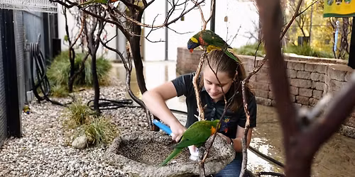 Animal Care Teen Volunteer Info Hour