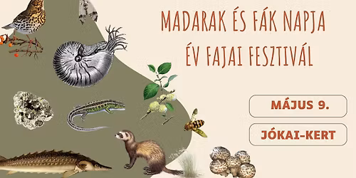 MADARAK \u00c9S F\u00c1K NAPJA \/\/ \u00c9V FAJAI FESZTIV\u00c1L