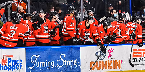 Syracuse Crunch at Charlotte Checkers