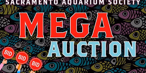 SAS Fall Mega Auction