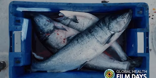 The Spirit Who Swims \/ Indigenous food sovereignty