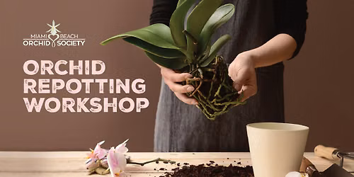 Orchid Repotting Workshop