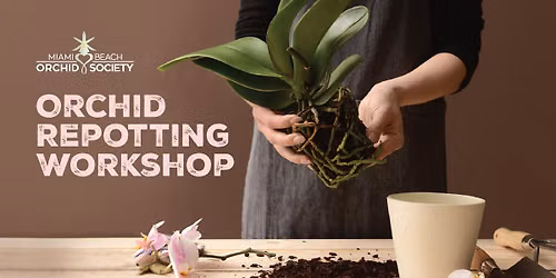 Orchid Repotting Workshop