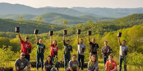 TOE RIVER Tree planting and tree GIVE-AWAY!!!!!