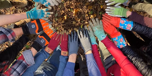 Park Improvement Project - Bird Park - Mt. Lebanon Nature Conservancy