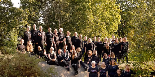 Koiton Laulu: Jotain meist\u00e4