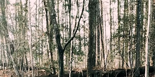 May Kid Friendly Hike Meet Up