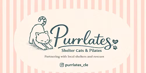 Purrlates\u2120 x Cleveland Health & Social Club Event