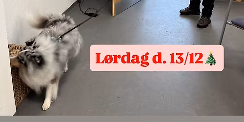 UDSOLGT! \u201cJule - Clean Run\u201d