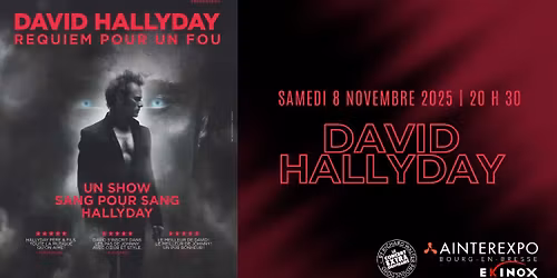 David Hallyday : Requiem pour un fou