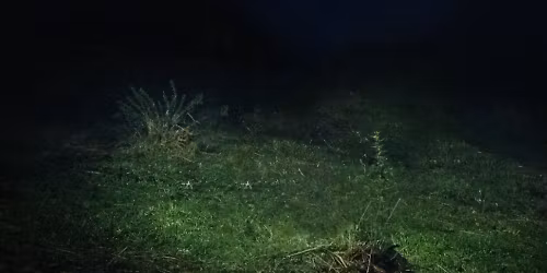 Sen Senra in Val\u00e8ncia