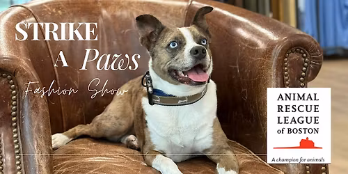 Strike A Paws \u2014 A Fundraiser for the Animal Rescue League