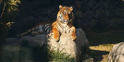 Zoo Photography Meetup