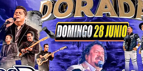 LOS YONICS ZAMACONA, MANDINGO & MAS