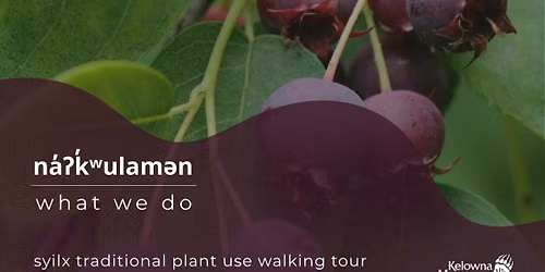 na\u2019\u0294k\u2019\u02b7ulam\u0259n (what we do): syilx Traditional Plant Use Walking Tour