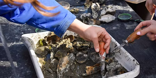 Middle School: Living Shorelines