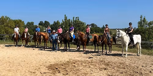 Handy Horse Handy Human 