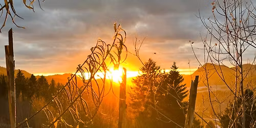 Vintersolverv - yoga for ro og fornyelse