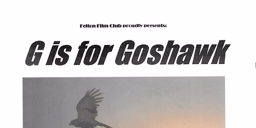 Film Night