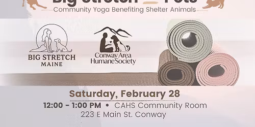 Big Stretch for Pets