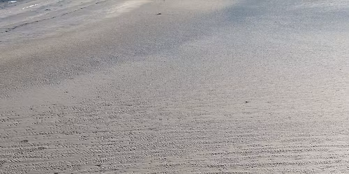 Trina Basu and Arun Ramamurthy at Mary Irwin Theatre at Rotary Centre for the Arts