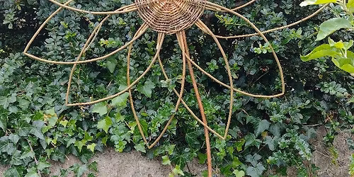 Willow weaving workshop - sunflowers and dragonflies